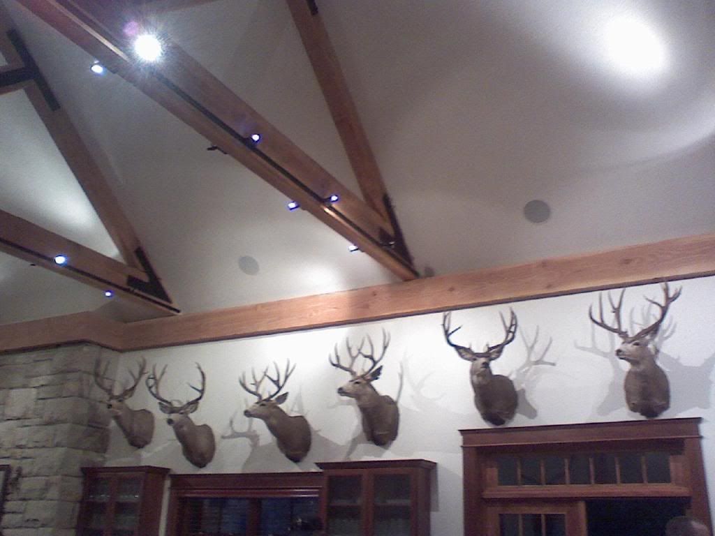 Official Wyoming Picture Thread (Cheyenne, Kaycee rent, bars, office